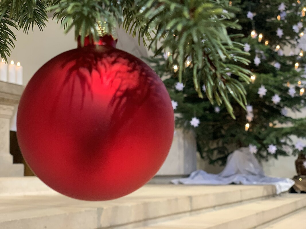 Eine rote Weihnachtskugel an einem Tannenzweig. Im Hintergrund ist ein weiterer Weihnachtbaum mit weißer Dekoration zu sehen